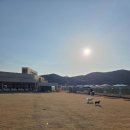 하이멍 애견카페 이미지