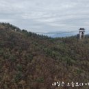 온천강변1길 네이버블로그