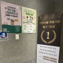 서울W(더블유)치과의원 | 결혼 전 산전검사 후기｜보건소 지원으로 서초역 연세더블유산부인과 다녀왔어요