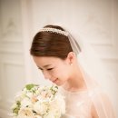 헤어펠리스 이미지