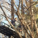 태진자원 이미지