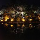 신라의 달밤 이미지