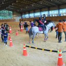 순창군승마장 이미지