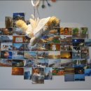 편안 민박 이미지