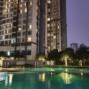 비나코리아 이미지