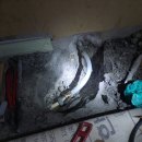 우남샘물타운 이미지