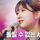 돌릴 수 없는 세월 - 조항조 2021/전유진 2025/솔지 2026/홍성윤 2026 이미지