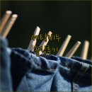 무궁화세탁 | 99% 살균 무궁화 세탁비누 솔직 후기! 찌든 때와 냄새, 정말 사라질까