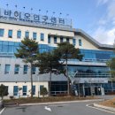 엘비제이