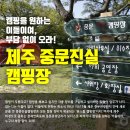 중문진실캠핑장 이미지