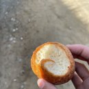 대화송어양식장 | 94. 커피의 고장 살렌토 커피농장에서 커피 투어하다가 인터뷰 당하기 - 20231212