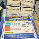 팀식스아쿠아키즈 이미지