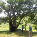 초정주유소 이미지