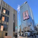 도산대로 이미지