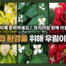 우림가든 이미지