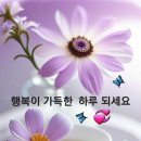 행복한하루 이미지