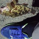 휴 펜션 해양 이미지