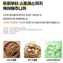 에코피에스 | [제품소개] 지성 vs 건성, 어떤 토닉이 맞을까? — 헤어91 댄드 &amp; 캄 🆚