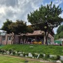 초록발자국 | 여름휴가_춘천애견동반펜션 수영장이 있는 초록발자국펜션 내돈내산 후기