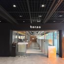 석류애견 | 서울역 맛집 오르노 서울역점 양식 데이트 코스 추천( 실내 애견동반)