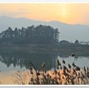 의신초등학교접도분교장 이미지