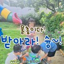 파워랜드 어린이집 네이버블로그