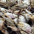 풍년수산 이미지