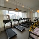 [신규]소도구 필라테스 이미지