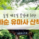 편백세상