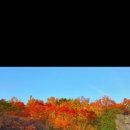 산정원