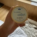 애견호텔 "중독" | [경주] 경주 펫 프렌들리 호텔 키녹 방문후기(내돈내산)
