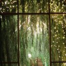 성수연방 이미지