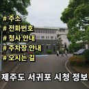 서귀포시청 제1청사 주차장 이미지