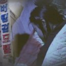 버킹검모텔 이미지