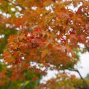 돌아본 공간 이미지