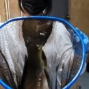 성북낚시터 이미지