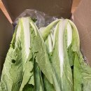 빛들농장 이미지