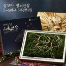 삼모아