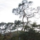 화암1리마을회관 이미지