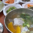 화연이네 | 제주 애월 아침식사 밥집 갈치국 맛집 화연이네식당
