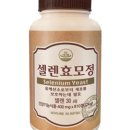 뉴랜드 정아