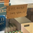 스구식탁 이시아폴리스점