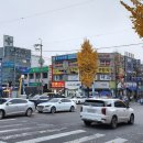 신거북시장(5) 이미지