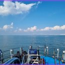 현대낚시 이미지