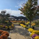 붕어섬 식당 | [임실] 붕어섬 생태공원 / 사진찍기 좋은 곳 / 데이트하기 좋은 곳