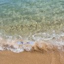 하조대해수욕장 화장실 2 이미지