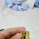 레인포러스 | 황칠나무효능이궁금하다면 레인포러스 R4U 황칠 황제환과 황칠 티백이 황칠나무차이자 황칠차로 딱인거...