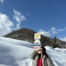 (주)디에프브이투 | Feb. sapporo 01(조잔케이 다이치호텔 스이잔테이,퀸테사 호텔 스스키노,야끼니꾸 츠바메,오타루)