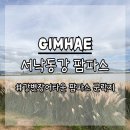 서낙동강 | 부산 근교 가볼만한 곳 가을 서낙동강 팜파스 군락지 리얼 후기