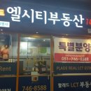 팔레드부동산중개 이미지